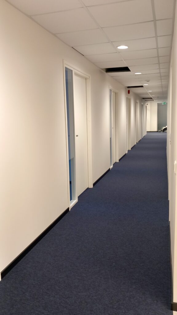 Toompuiestee ehitusjargne kontori koristus Tallinnas 6